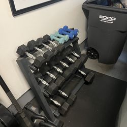 Free Weights + Weight Rack 