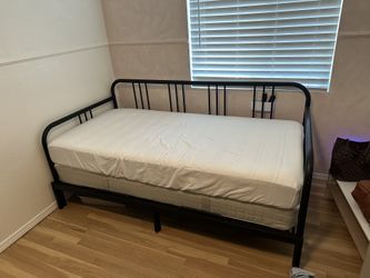 Bed Frame/Twin Mattresses 
