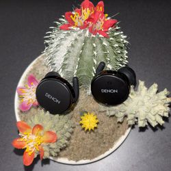 Denon perL pro 
