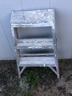 Werner Aluminum 2’ Ladder 
