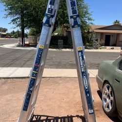 Werner Multi Position Ladder