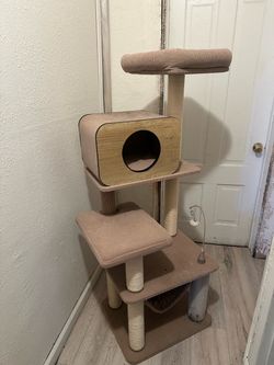 cat tree