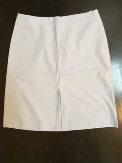Gap skirt