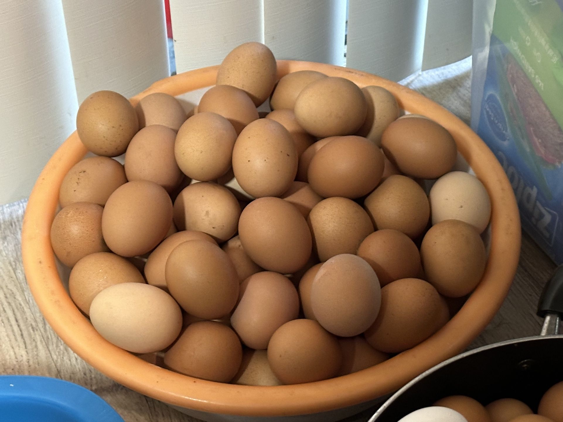 Organic Fresh Eggs $5 Per 1 Dozen