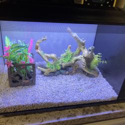 Fluval Saltwater Aquarium Kit 13.5 Gallons