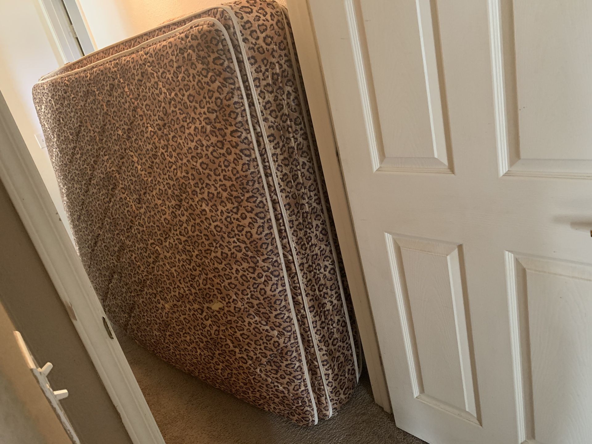 Satin Finish Queen Size Cheetah Print Mattress