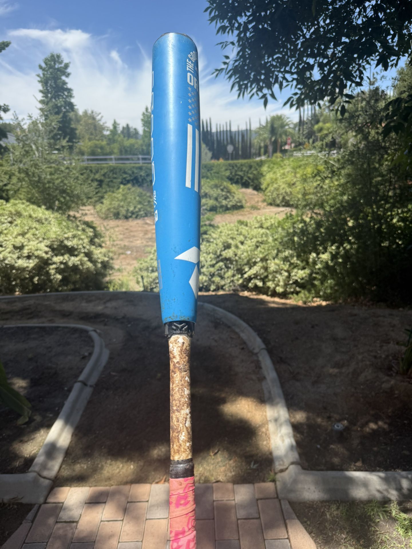 Custom 2024 Demarini Goods, Bbcor -3 Size 33in 33 ounces