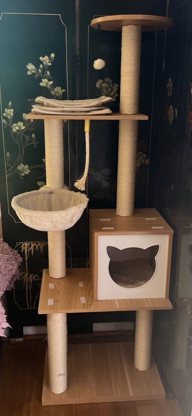 Kitty Condo