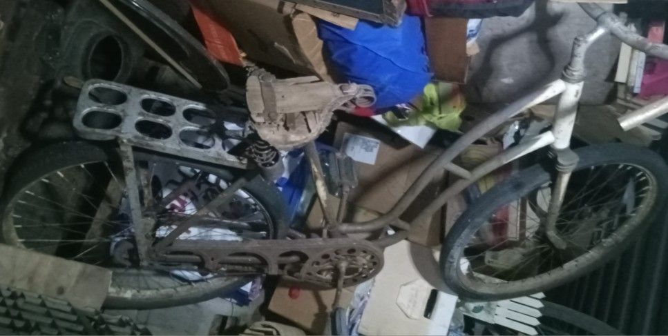 Elgin skip toothbike