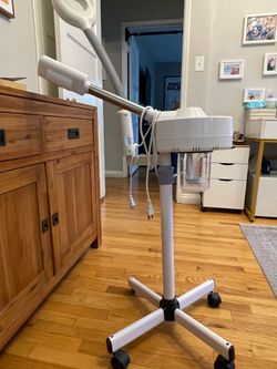 Professional steamer