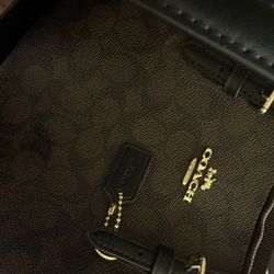 Coach Small Mollie Tote Bag