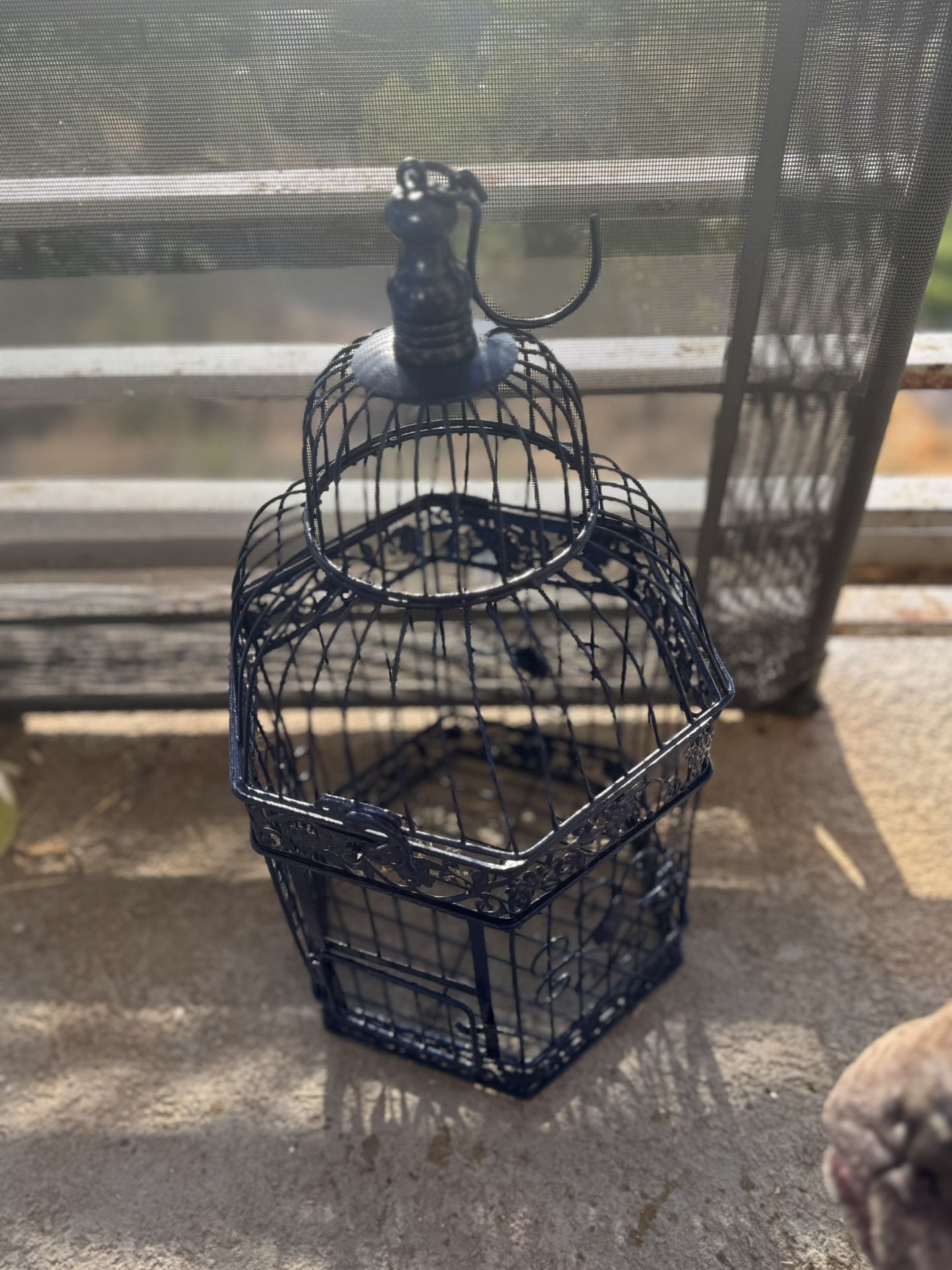 Blue Bird Cage