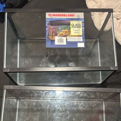 10g Fish Tanks 2 Of Them