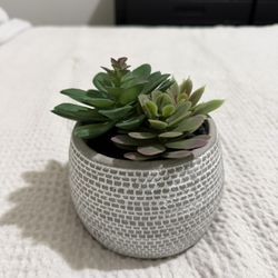 Fake Succulent Home Decor
