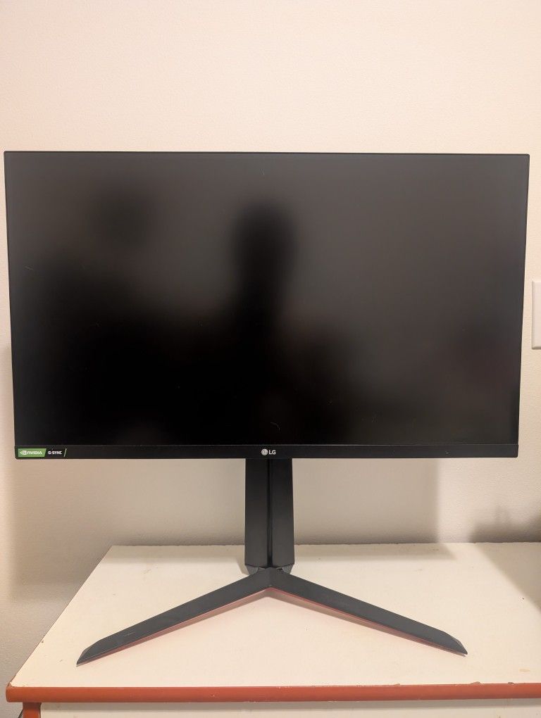 LG Monitor 