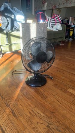 Fan 