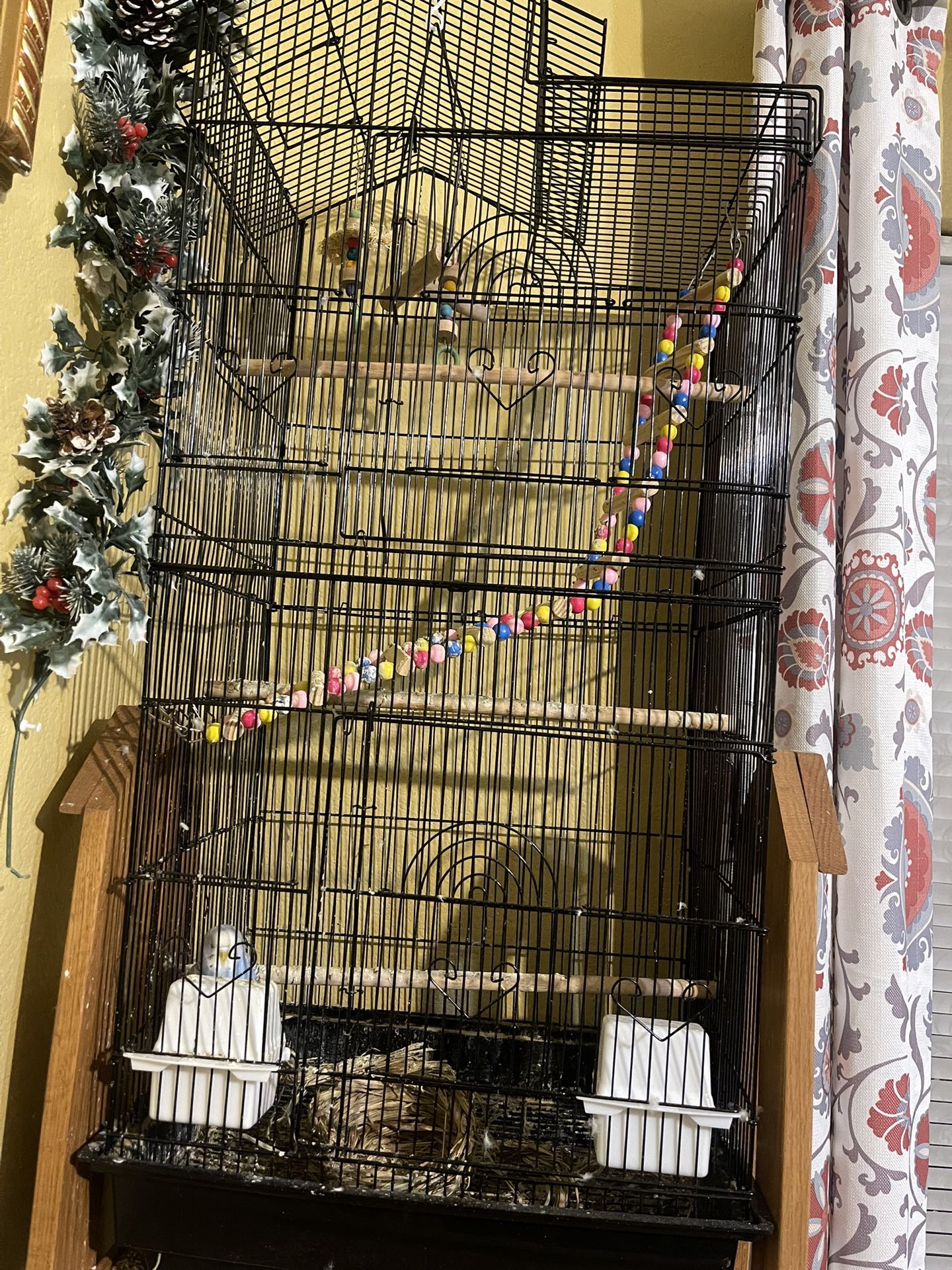 Cage/bird