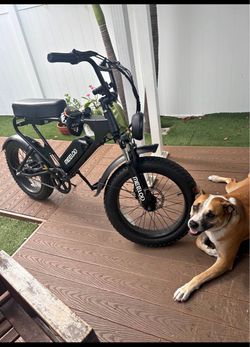 Meelod e-bike broken motor