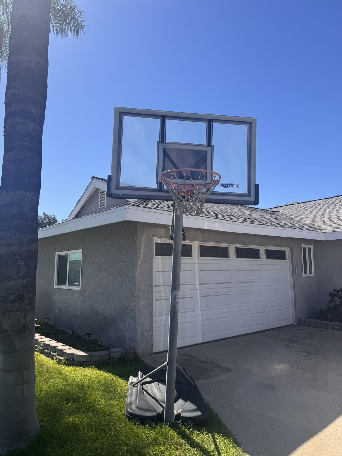 Lifetime Basketball Hoop