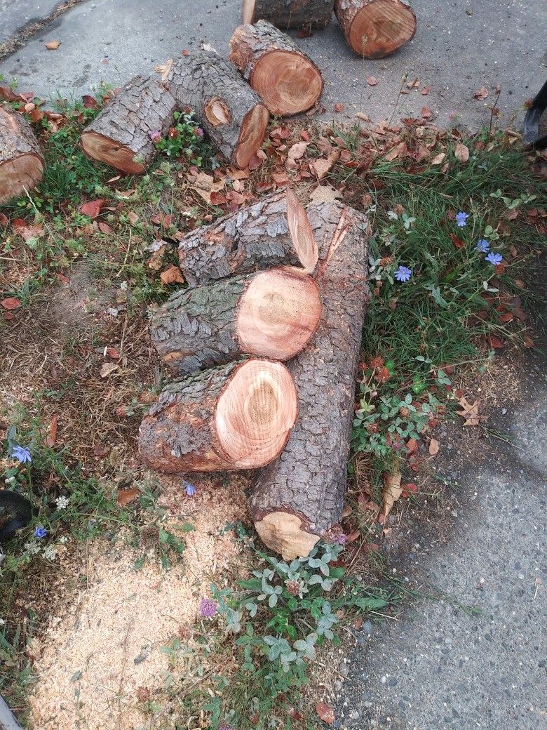 Free Fire Wood .... Free Delivery