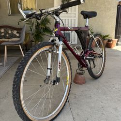 Vintage 90’s Mountain Bike ( Pro Master 555)