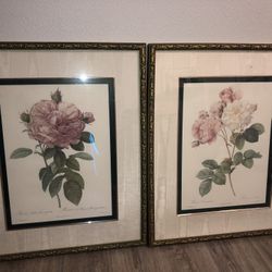 Authentic Jon Pierre Pink Rose Paintings $200 For Both Can Deliver