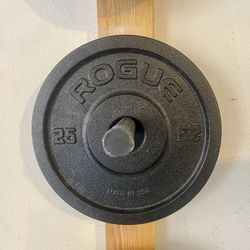 2 Rogue Deep Dish 25lb Plates 