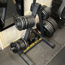 Weights  & Bars