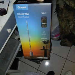 Govee Floor Lamp