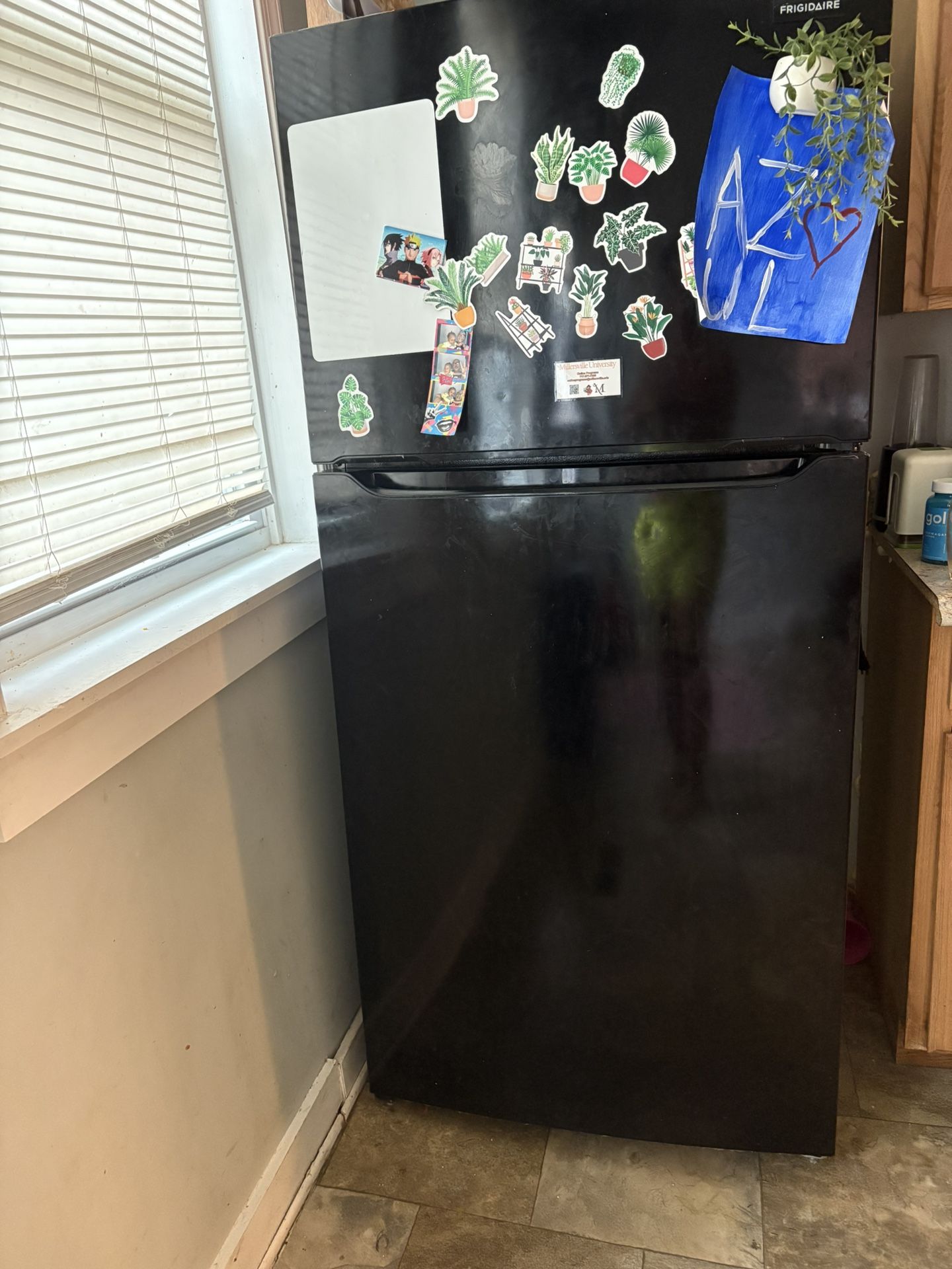 Fridge 
