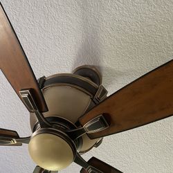Ceiling Fan