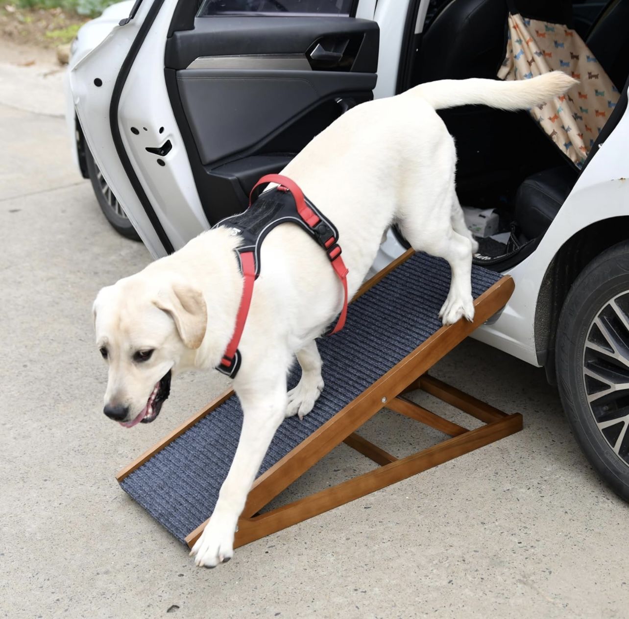 Adjustable Dog Ramp for Bed and Couch, Wooden Pet Ramp for Large & Small Dogs to Get on Bed or Couch, Rated for 250 LBS, Foldable Dog Steps for Large