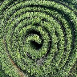 Artificial Synthetic Grass Used ** Alpine ♻️ 