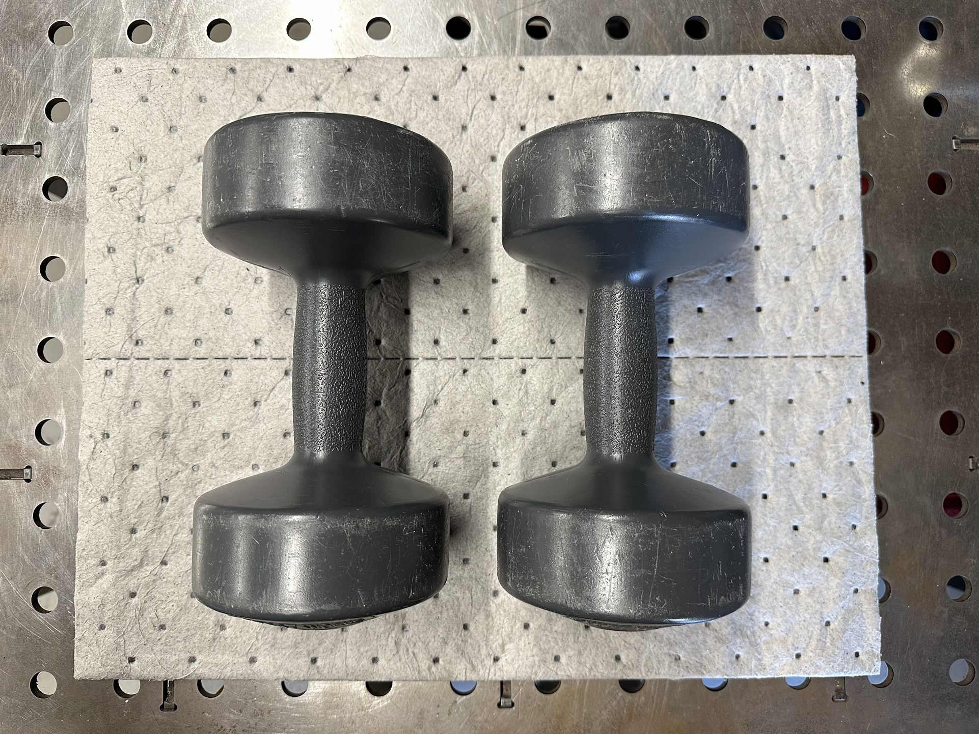 10LB Dumbbell Weights