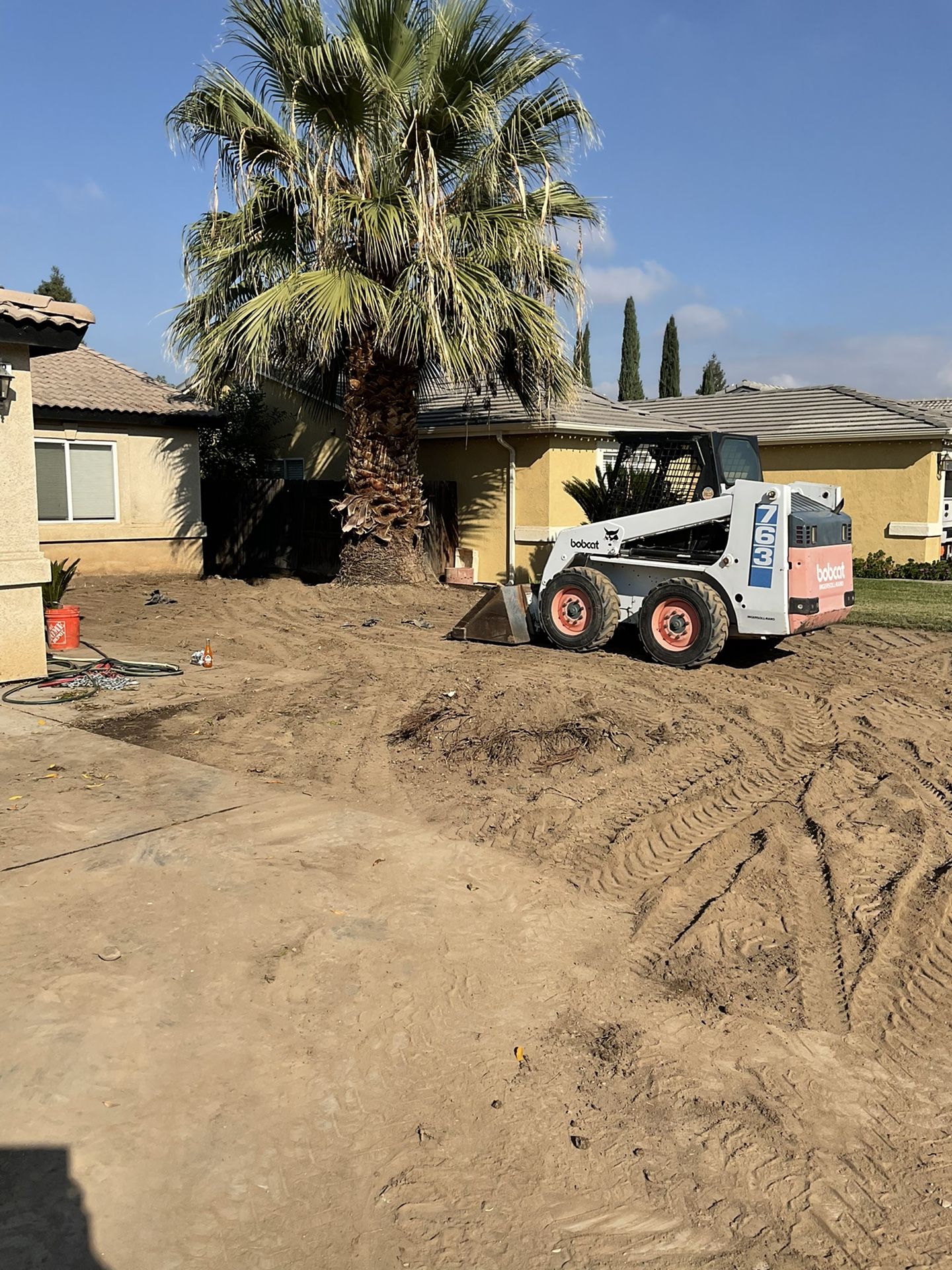Bobcat Grading