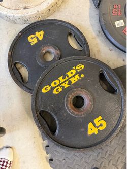 Pair of Gold’s Gym 45 lb Olympic Weight Plates