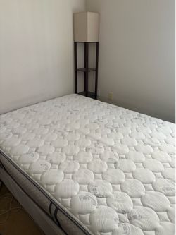 Free Serta Queen Size Bed for Pick Up