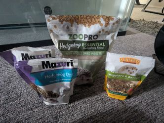 Free Hedgehog food