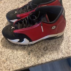 Jordan 14s 