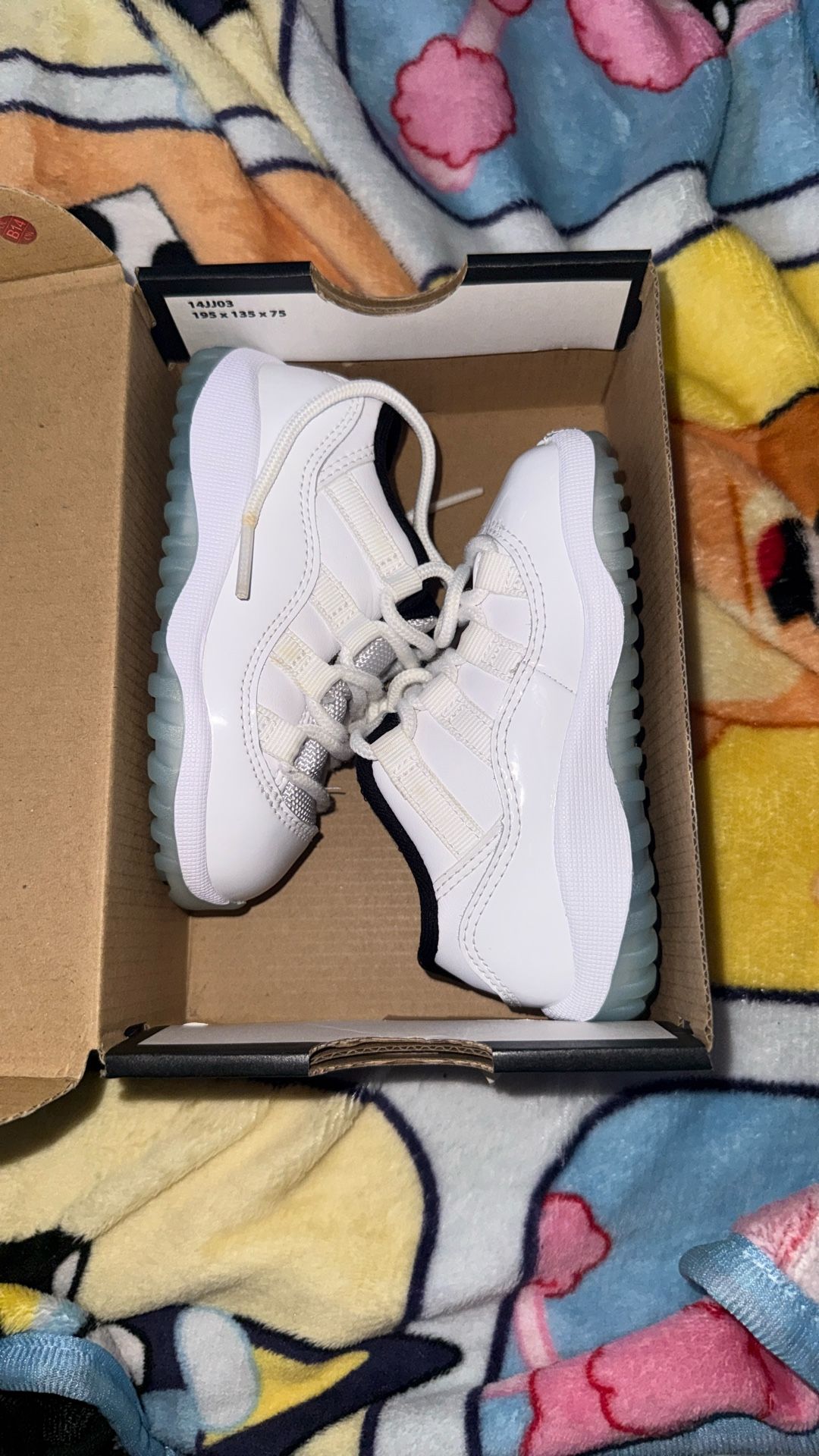 Jordan 11 Low Top 7c