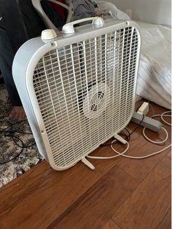 Fan