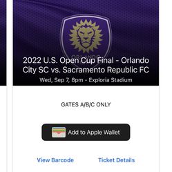 U.S Open Cup Final 
