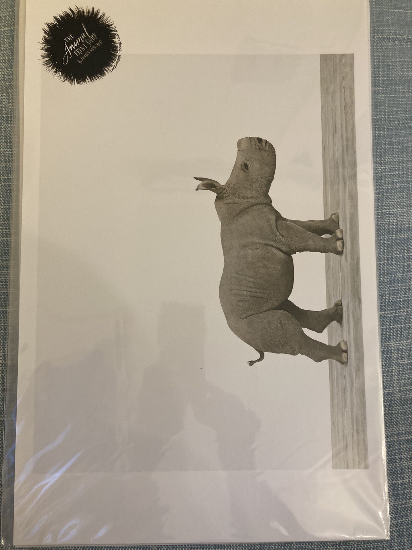 Animal Print Shop art