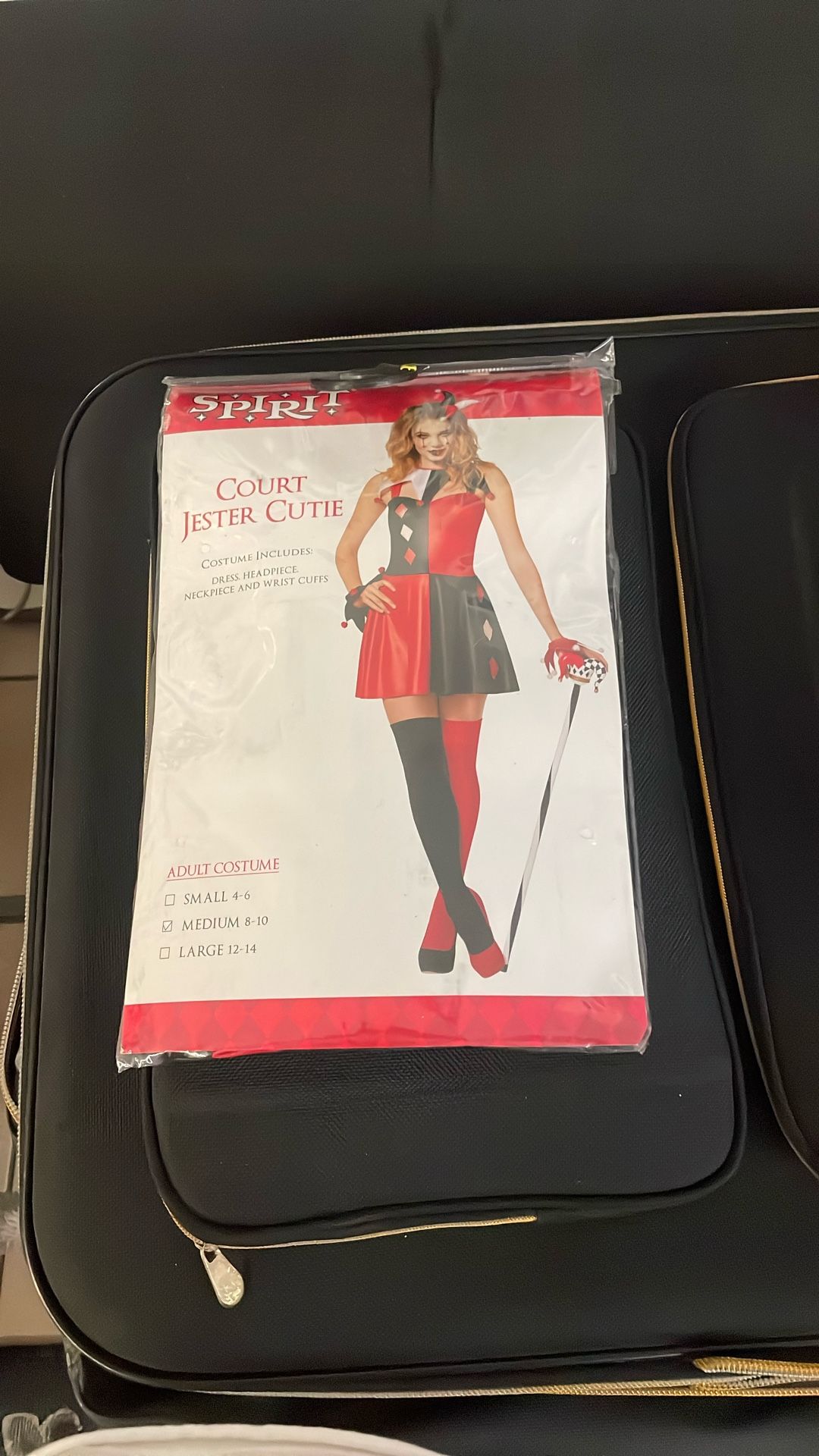 Halloween Cistume Sz M 8-10 Adult