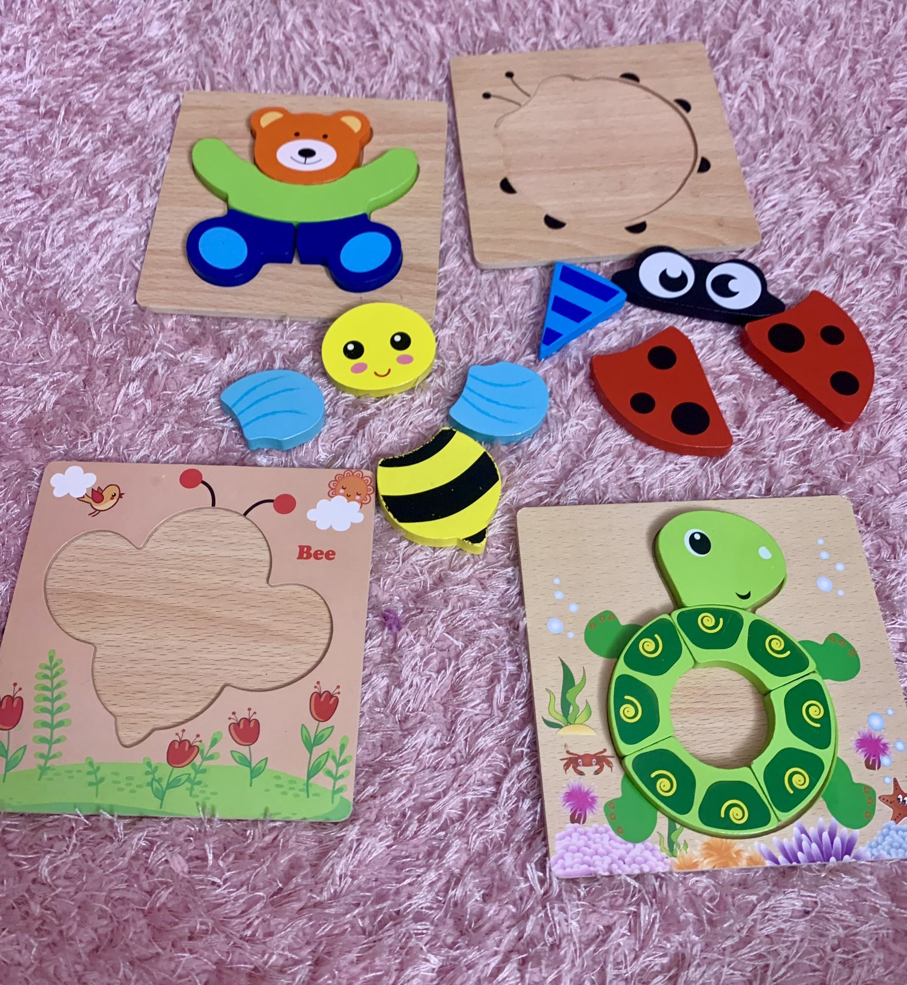 Wooden Puzzles 