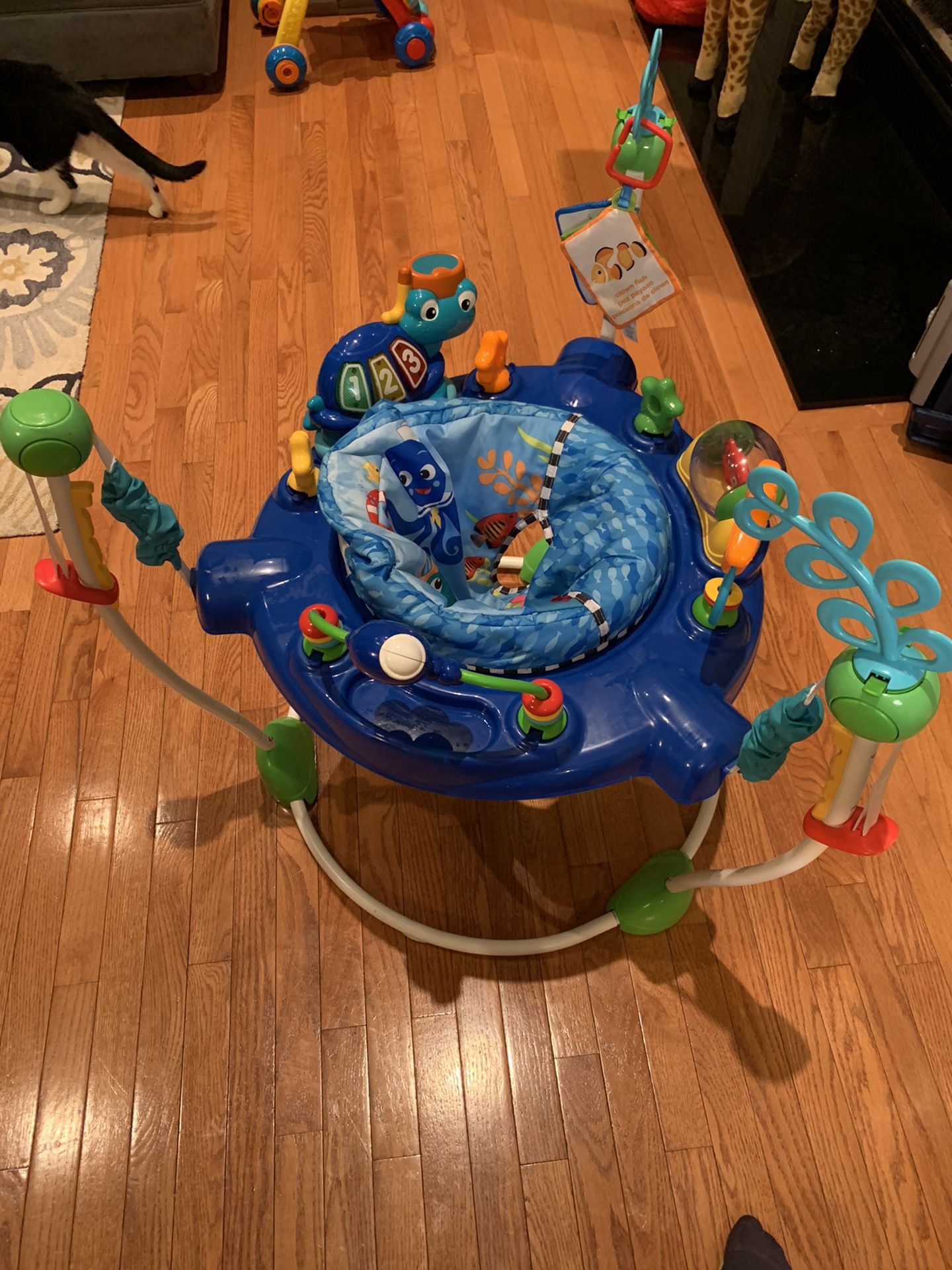 Baby Einstein bouncy seat