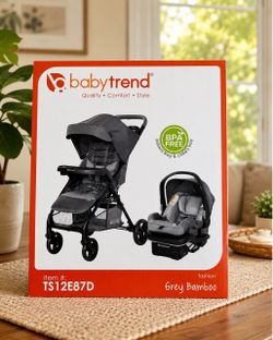 Baby Travel System
