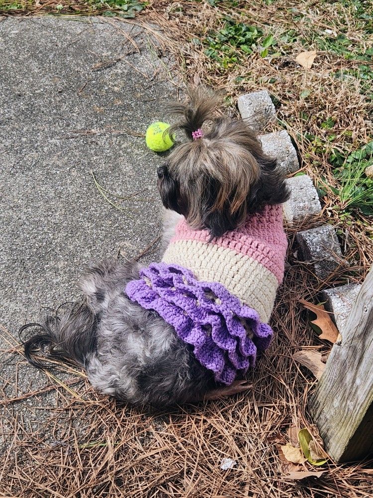 Crochet Pet Sweaters & Collars π π