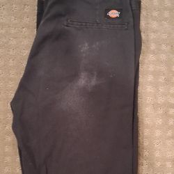Dickies Pants