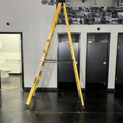10 Foot Ladder